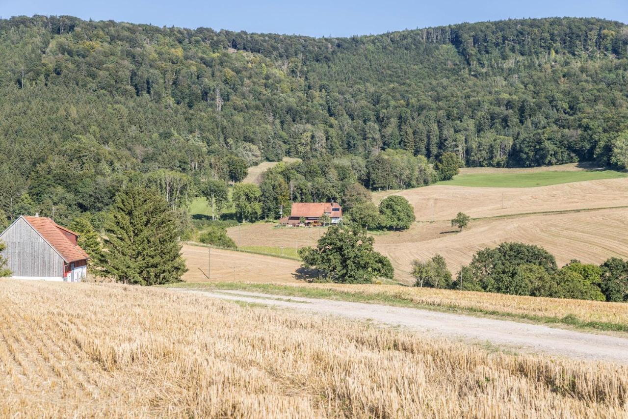 Der Lachenbuckhof Blumberg Esterno foto